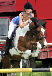 05TH JUNE 2010 - NEWMILNS SHOW - LOUDOUN CASTLE GROUNDS, GALSTON, AYRSHIRE portfolio