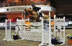 SAT 5th DEC 2009 - BSJA SENIOR PREMIER SHOW- INGLISTON EQUESTRIAN CENTRE, BISHOPTON SCOTLAND portfolio