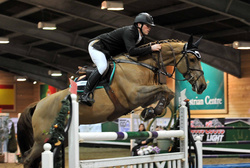 FRI 4th DEC 2009 - BSJA SENIOR PREMIER SHOW- INGLISTON EQUESTRIAN CENTRE, BISHOPTON SCOTLAND portfolio