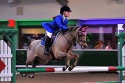 11th-13th DEC 2009, BSJA PONY, Ingliston EC, Bishopton portfolio