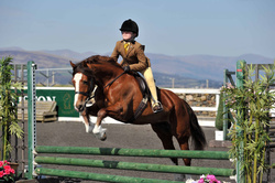 10th & 11th April 2010 - INGLISTON GRAND SLAM SHOWING - RING 3 Outdoor Only portfolio