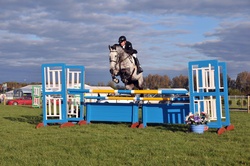 09th May 2010 - AYR COUNTY SHOW BSJA SENIORS portfolio