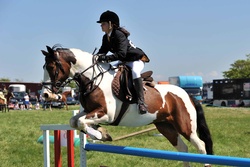 22nd May 2010 - STEWARTON & DUNLOP SHOW portfolio