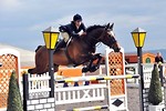 30th MAY 2010 - LANARKSHIRE AREA BSJA SHOW - INGLISTON COUNTRY CLUB