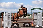07TH August 2010 - BSJA SENIOR INTRO SHOW - INGLISTON COUNTRY CLUB