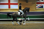15TH NOVEMBER 2010 - CARL HESTER DRESSAGE MASTERCLASS - INGLISTON EC portfolio