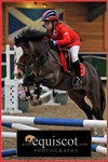 15TH - 16TH JANUARY 2011 - BRITISH SHOWJUMPING PONY SHOW, INGLISTON EC portfolio