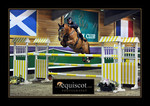 28TH-30TH JANUARY 2011, BRITISH SHOWJUMPING SENIOR SHOW (Adv/Prog) INGLISTON COUNTRY CLUB portfolio