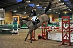 11th March 2011 - 13th March 2011 BRITISH SHOWJUMPING SENIOR SHOW,  INGLISTON COUNTRY CLUB portfolio