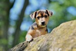 CLIMBING ADVENTURES & LOOKING CUTE portfolio
