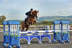30th July 2011 - SAT - Class 12 - 1m Nov Champ Qual portfolio