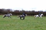 15th November 2009, Ayr Riding Club Drag @ Titwood Equestrian