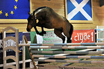 Scottish Sports Horse 3 Year Old Championship 3rd Dec 2009, Ingliston EC