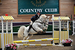 14th February 2010 Unaffiliated Showjumping Ingliston EC