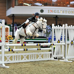 UNAFFILIATED SHOWJUMPING - MIXED - INGLISTON CC