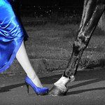 EQUESTRIAN / CANINE / LOCATION PHOTOSHOOTS