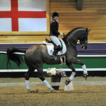 DRESSAGE, INGLISTON CC