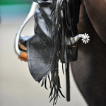 SCOTTISH NATIONAL WESTERN SHOW - INGLISTON CC